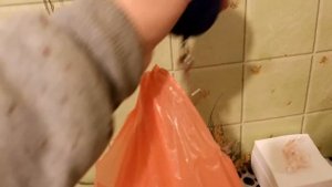 Вес тушки бройлера в 36 дней, кобб 500