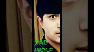 Sad Wolf (ть мада туз козер)