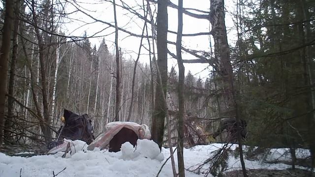 [Походы ЛТ]: Прогулка по весеннему лесу смотреть онлайн