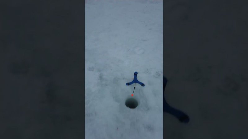 Жара