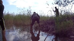 Охота на бобра!!!! Охота с копьём !! Коллективная охота