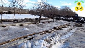 Когда выставлять пчёл из зимовника