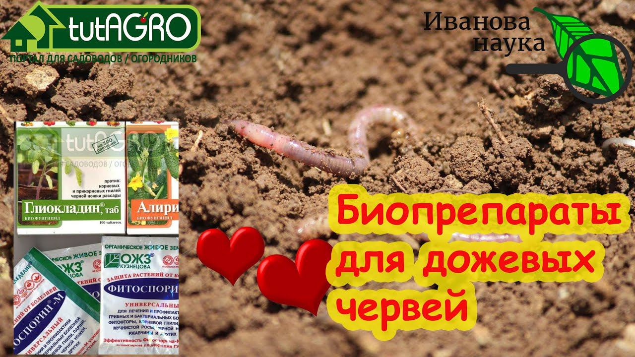ДЛЯ ВАС - ТРОЙНАЯ ПОЛЬЗА! Как правильно использовать эффективные микроорганизмы.