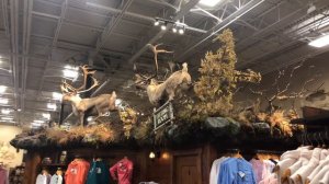 Мрія охотника / магазин Bass Pro Shops