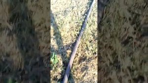 Мотопомпа 2СД