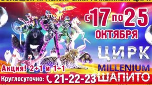 Цирк millenium шапито