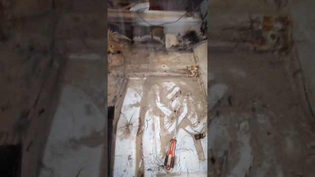 Качество немцев смотреть онлайн