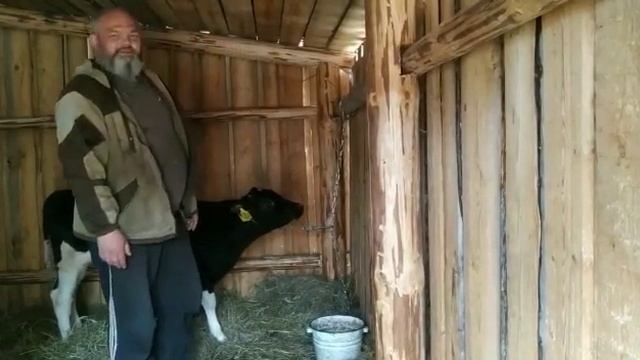Боцман и привязь !