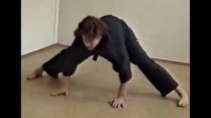 Тайсо. Сэнсей Валерий Майстровой. 1991 год