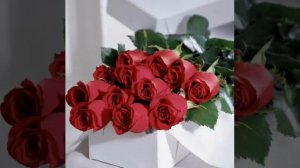 Птица разлука