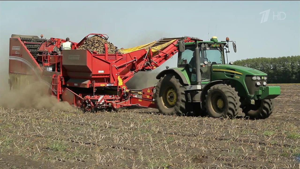 В 2022 году в России ожидается рекордный урожай зерна, 150 миллионов тонн