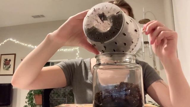 🌿🫙 Plant craft with me! How to make an easy closed terrarium 😊 смотреть онлайн