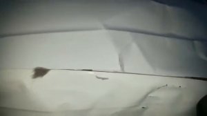 Медведь обосрал машину!!!