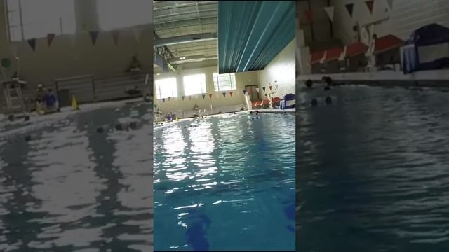 Epic Diving Board Tricks