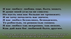 Почему кошка чешется, лижется, а блох нет? Кошка постоянно чешется: причины, способы лечения