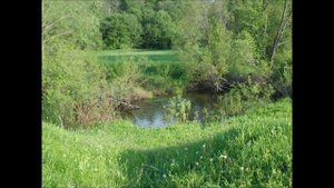 Звук лета..wmv