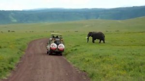 AFRICA SAFARI ACACIA GROUP TRAVEL Episode 5 OF 10 15MIN