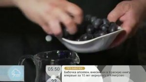 Яблочный уксус - как приготовить дома. Рецепты и советы диетолога