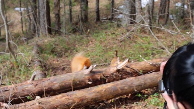 Поход к устью Крохаля смотреть онлайн