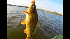 Секреты летней рыбалки