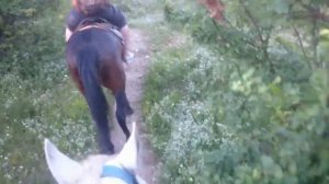 АДЫГЕЯ СТАНИЦА ДАХОВСКАЯ МОЯ ПОЕЗДКА  2018))))ЧАСТЬ 1