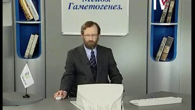 10 класс Мейоз. Гаметогенез у животных и растений