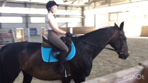 //Vlog// Конный спорт🐴🐎