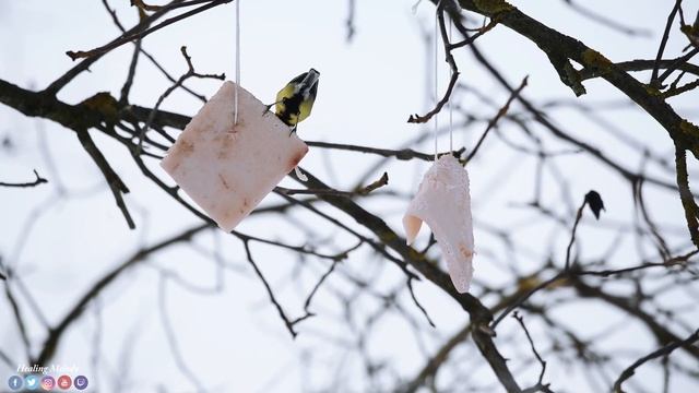Послушайте Эту Музыку И Вам Станет Легче! Красивая Мелодия До Слез! Музыка Для Души #ноябрь смотреть онлайн