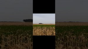 20240621_181446