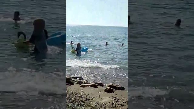 Во что одеты арабские женщины когда купаются ?! What are the Arabs wearing when they bathe at sea? смотреть онлайн
