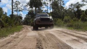 Toyota Tacoma | Tosohatchee WMA | Trail Ride | (2017 Tacoma)