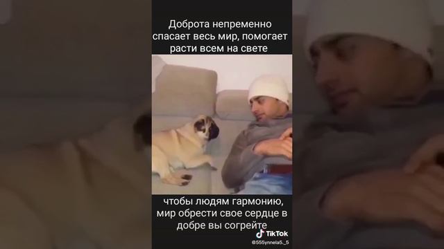 Обнимашки