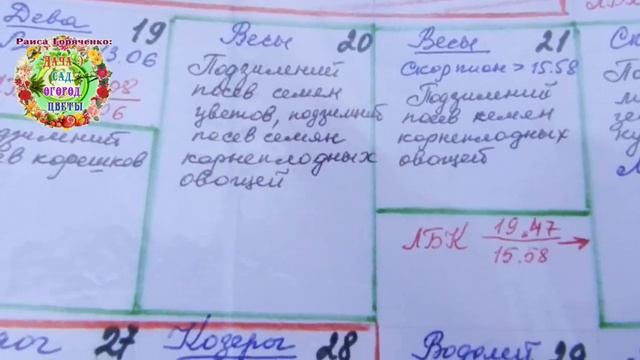 Всего 5 минут - и петрушка посеяна.Как быстро провести подзимний посев петрушки 31 декабря? смотреть онлайн