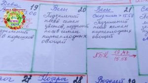 Всего 5 минут - и петрушка посеяна.Как быстро провести подзимний посев петрушки 31 декабря?