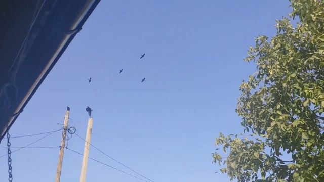 Преображаем стул и другие элементы дачного интерьера. смотреть онлайн