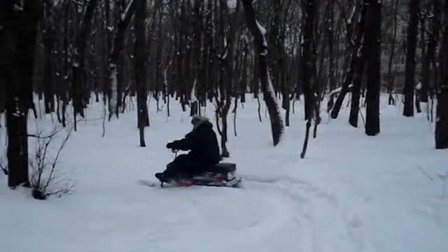 Тэсик.MPG смотреть онлайн