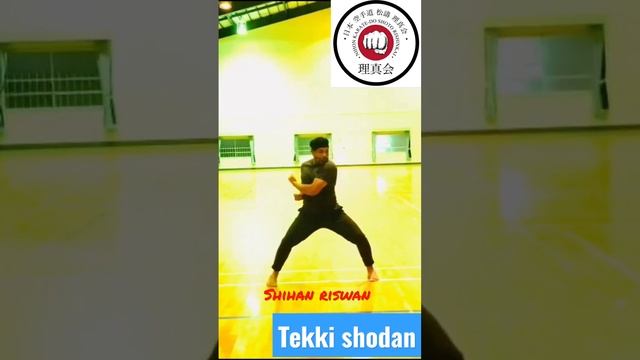 tekki shodan kata