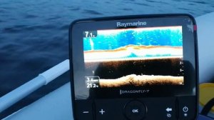 Эхолот raymarine dragonfly 7 pro. Он же  Стрекоза.