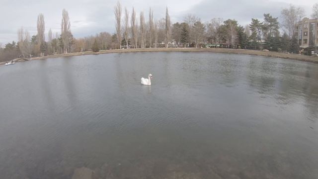 Самый большой парк для прогулок в Крыму. Гагаринский парк, Симферополь. Крым 2021 смотреть онлайн