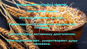 Проросшая пшеница лечит весь организм