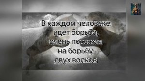 Правила игры Мироздания