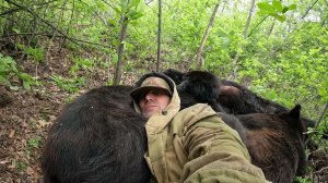 Медведи спят. Тринадцатая серия.