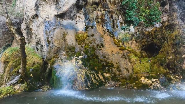 Луиза Хей. Стань счастливым за 21 день! Любить своего внутреннего ребёнка // День 8// смотреть онлайн