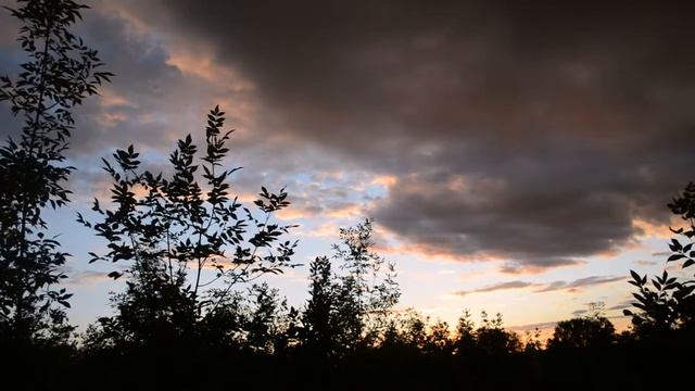 Чёрные тучи над Родовым Поместьем. смотреть онлайн