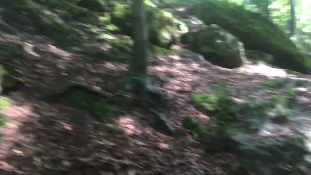 Бад-Шандау Саксонская Швейцария Поднимаемся на вершину. смотреть онлайн