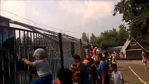 белые медведи в пермском зоопарке