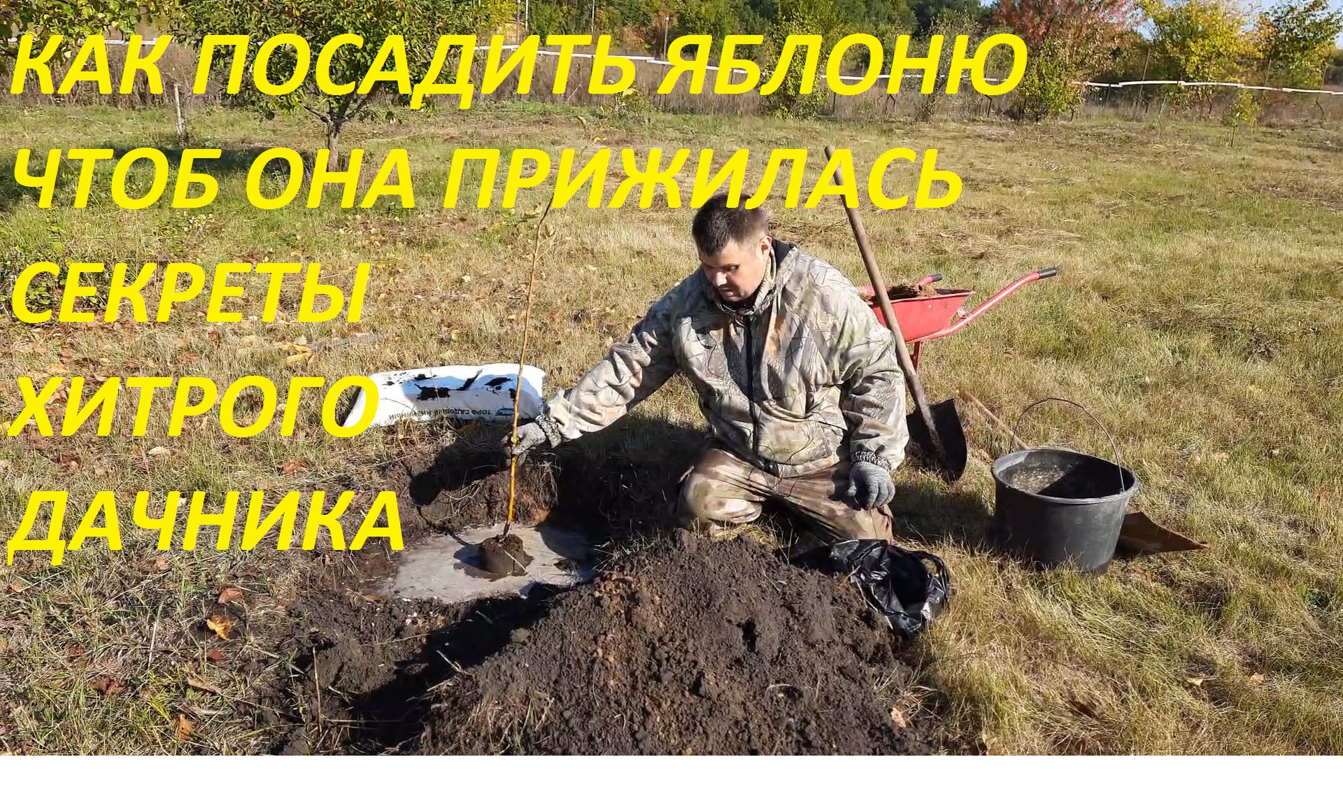 КАК ПОСАДИТЬ ЯБЛОНЮ ЧТОБ ОНА ПРИЖИЛАСЬ НА 100 %.СЕКРЕТ ХИТРОГО ДАЧНИКА.ТЕПЕРЬ САЖАЮ ТОЛЬКО ТАК.