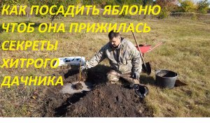 КАК ПОСАДИТЬ ЯБЛОНЮ ЧТОБ ОНА ПРИЖИЛАСЬ НА 100 %.СЕКРЕТ ХИТРОГО ДАЧНИКА.ТЕПЕРЬ САЖАЮ ТОЛЬКО ТАК.