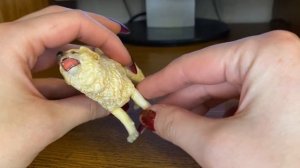 81. Обзор фигурки Papo пиренейская горная собака (арт. 54044, 2020)