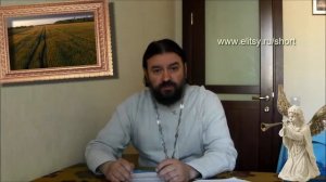 Борьба с сектантами в интернете о. Андрей Ткачев. Елицы